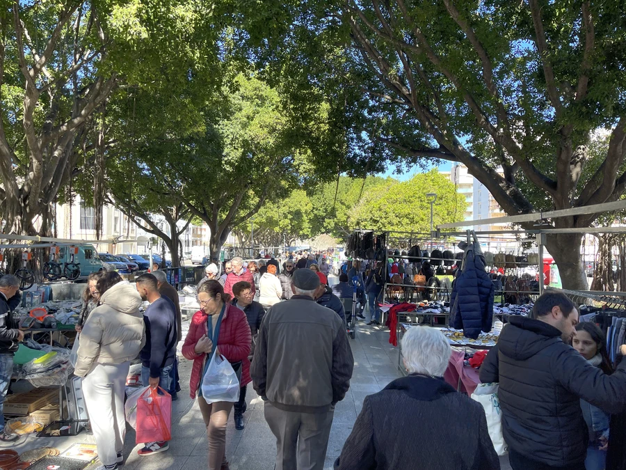 mercadillo playa de gandia rosa de los vientos