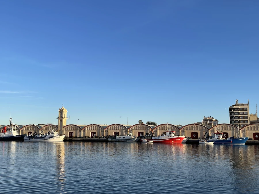 tinglados del puerto